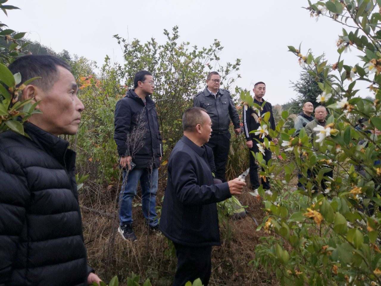 湘西州林业局科技特派员赴泸溪县开展油茶栽培技术培训和实操演练