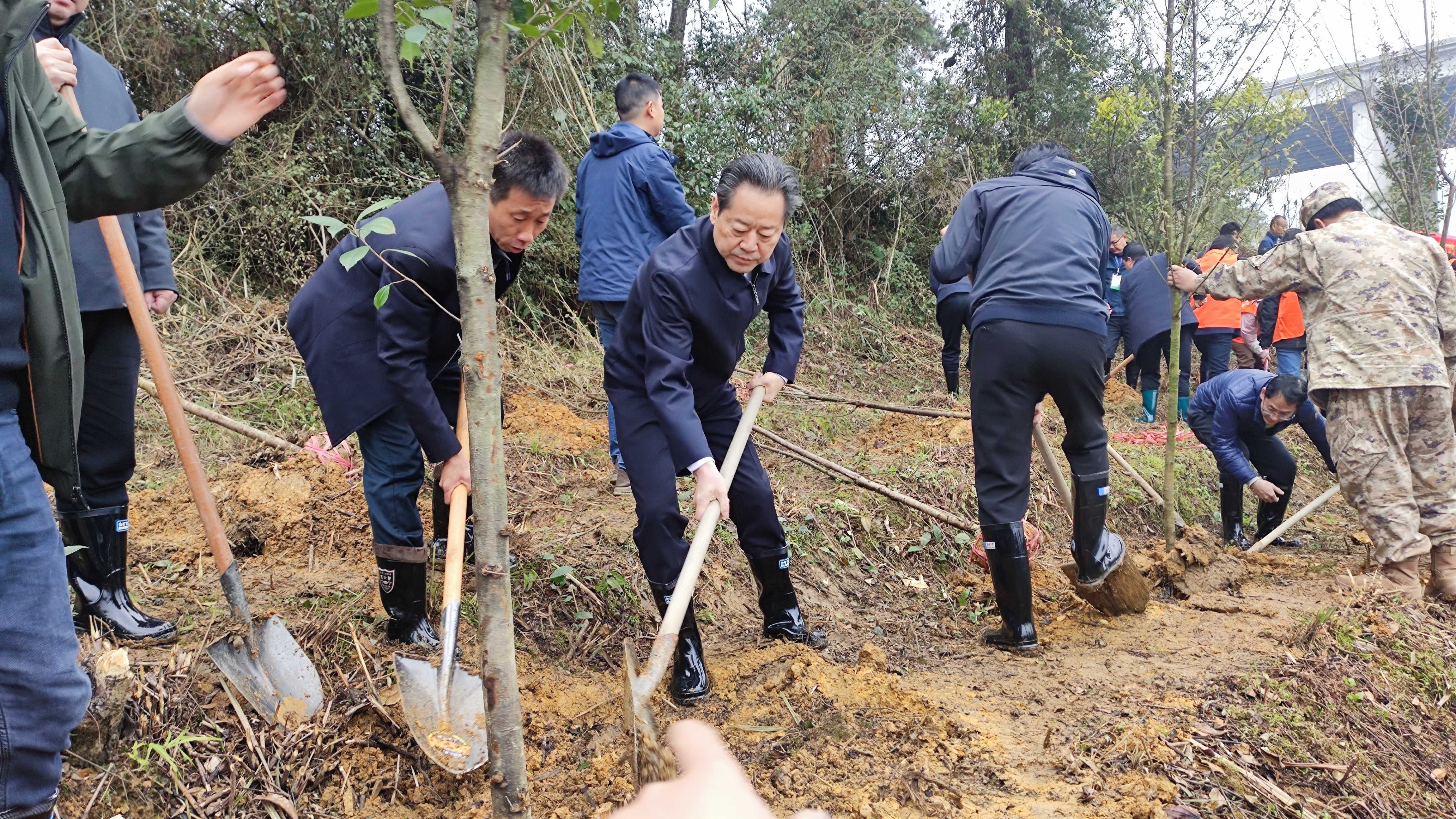 虢正贵陈华等湘西州领导参加2024年全民义务植树活动