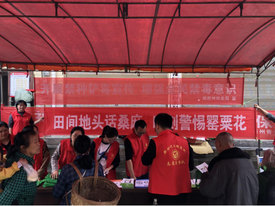 湘西州林业局形式多样开展禁种铲毒“三进”活动