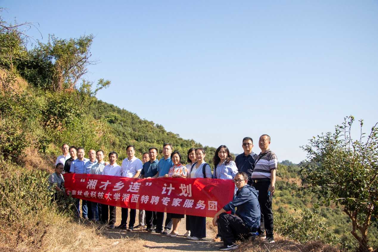 中南林业科技大学湘西特聘专家服务团到保靖县服务乡村振兴